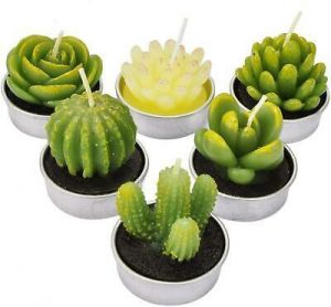 SCENTORINI 6 Pack Cactus Tealight Candles, Mini Delicate Succulent Plants Candle