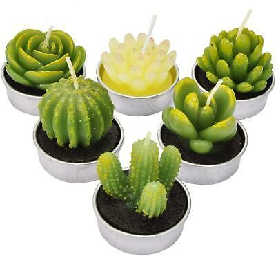 אביב לייף סטייל נרות SCENTORINI 6 Pack Cactus Tealight Candles, Mini Delicate Succulent Plants Candle
